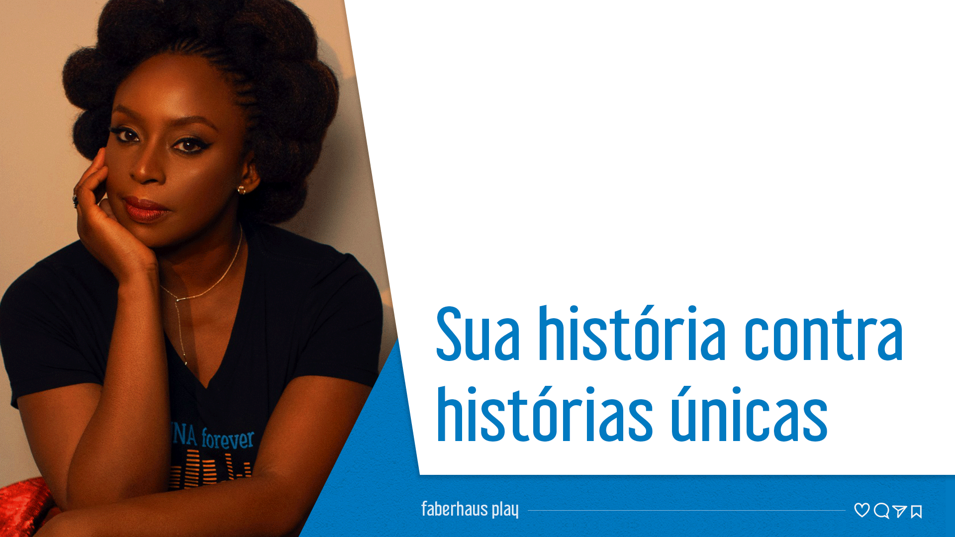 Sua história contra histórias únicas capa