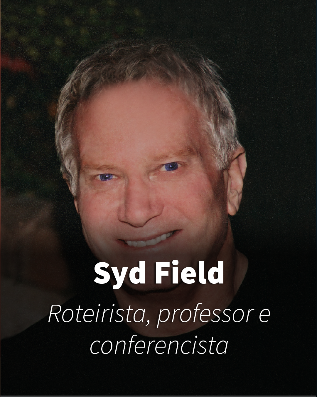 Faberfield - Syd Field