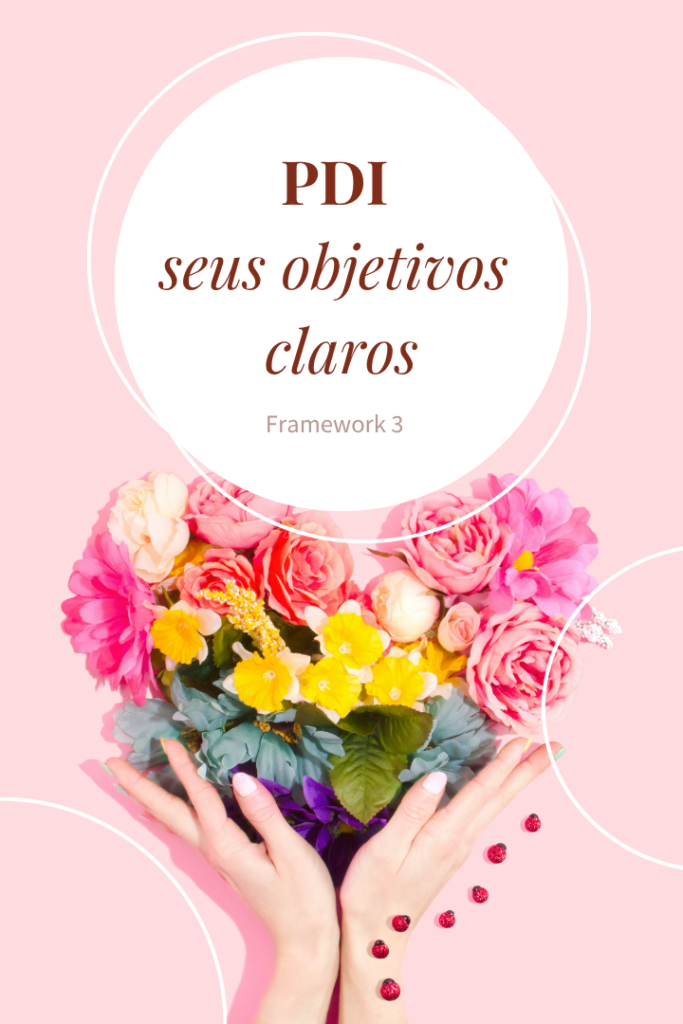PDI Framework 3 para definir seus objetivos