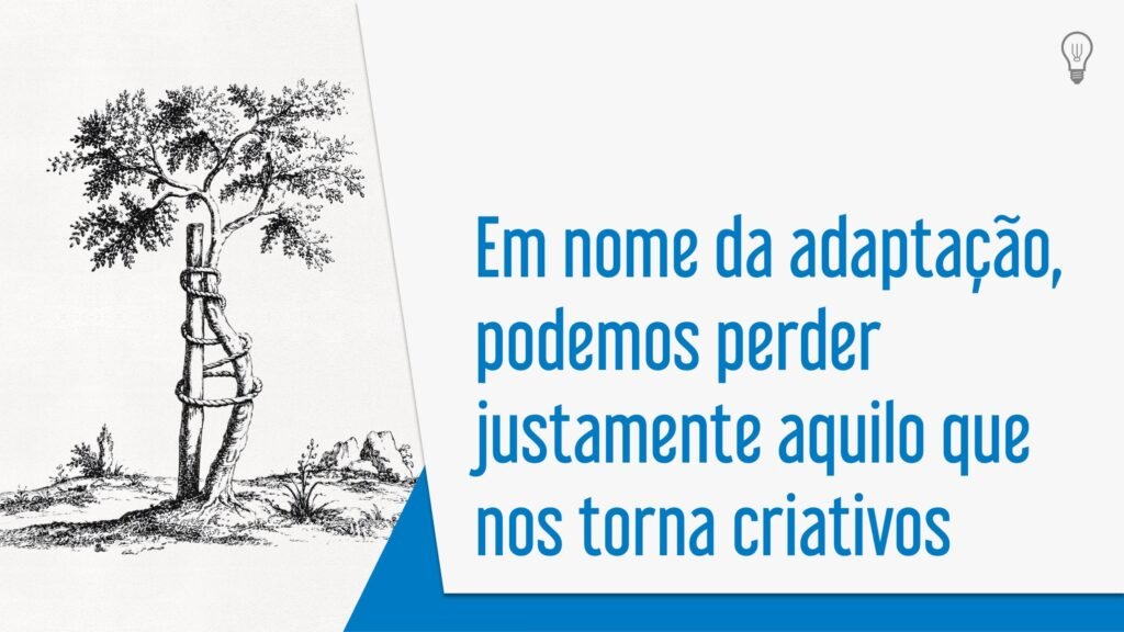 Em nome da adaptação Capa