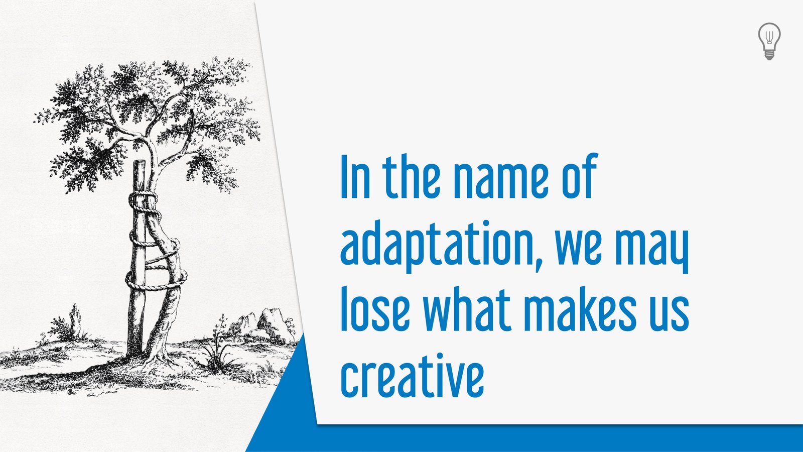 In the name of adaptation